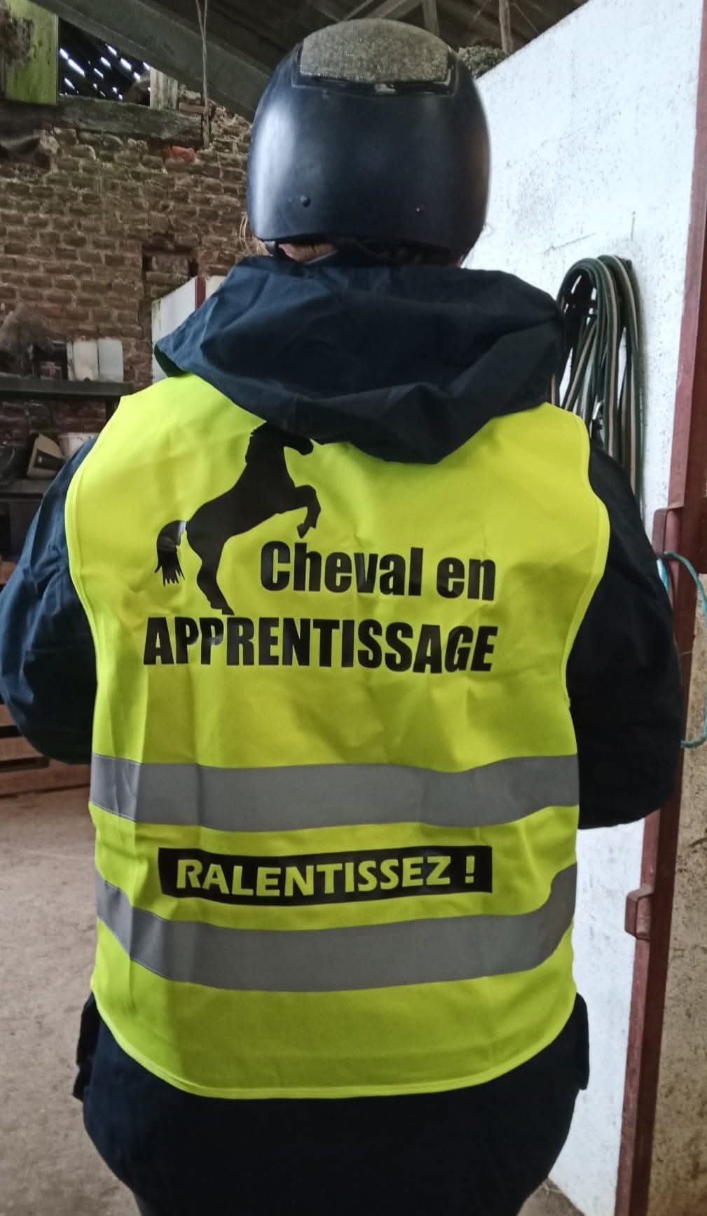 Débourrage et Travail des Chevaux