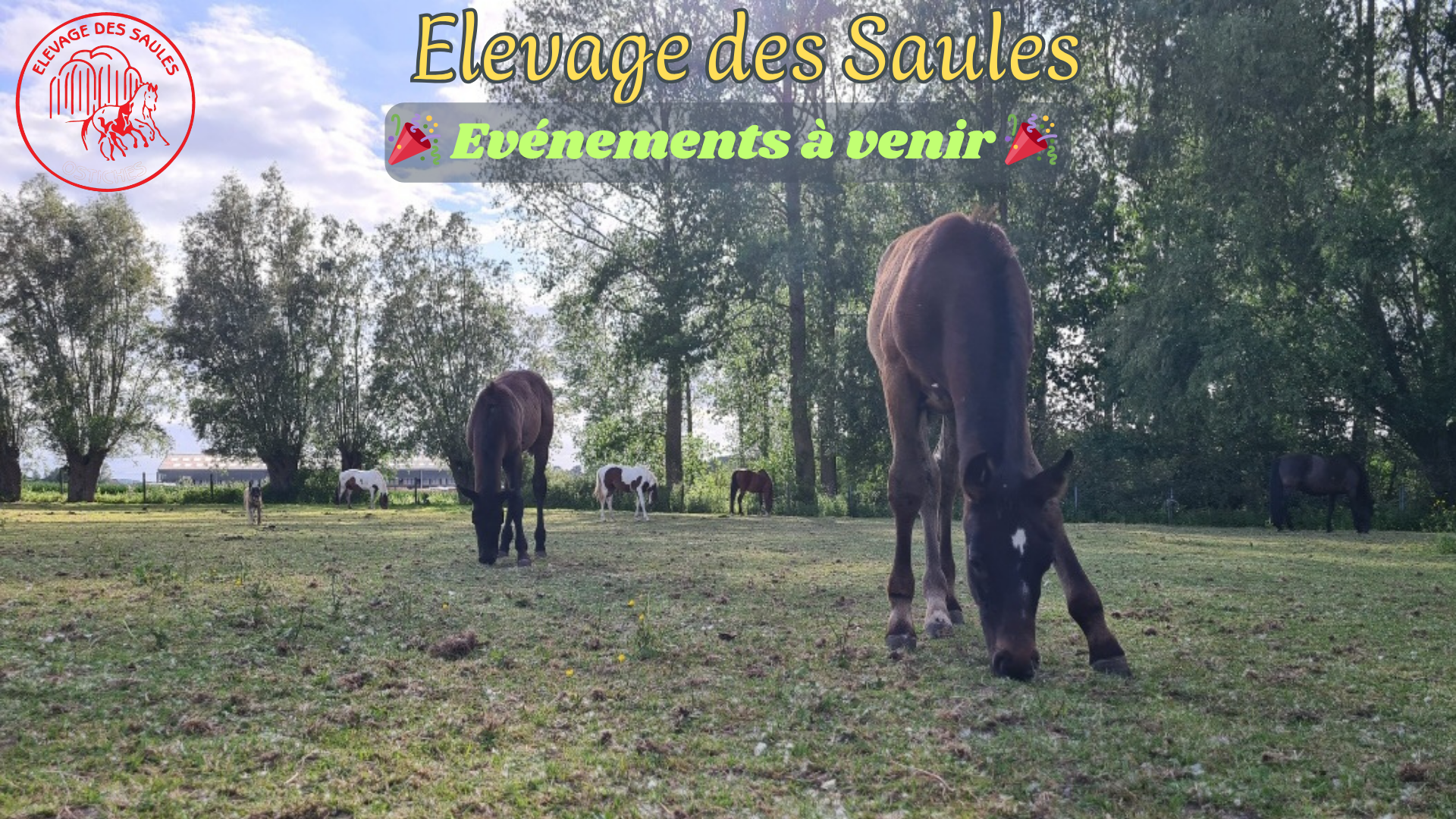 Portes ouvertes 2026